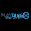 PlayDingo Casino Bonus